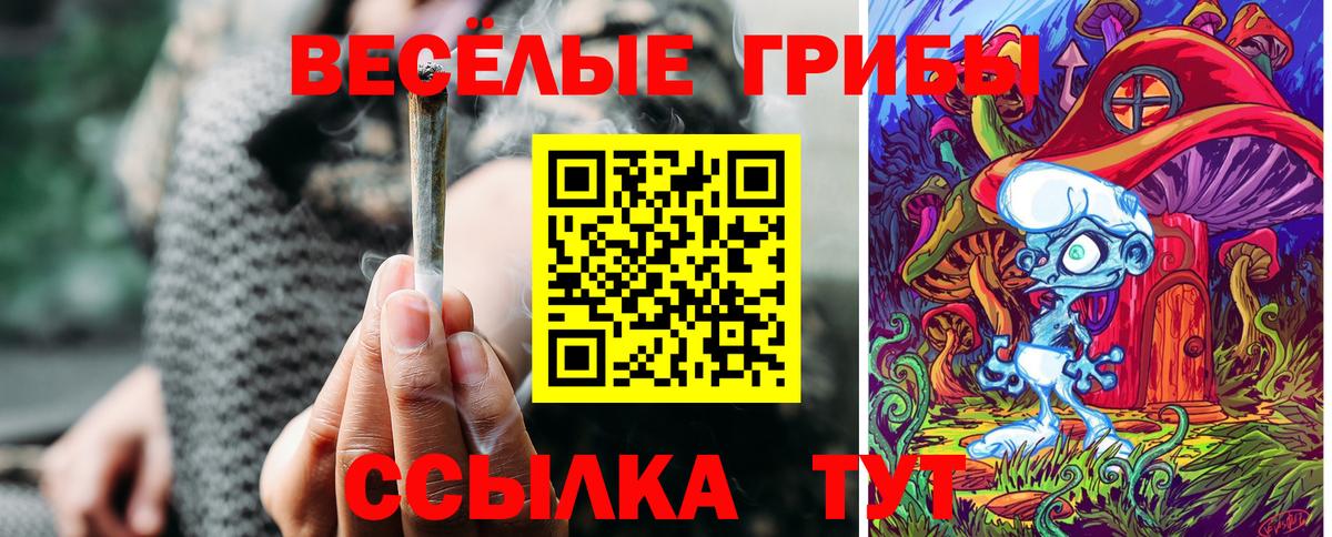 Галлюциногенные грибы ЛСД  Вход с VPN  Черногорск 
